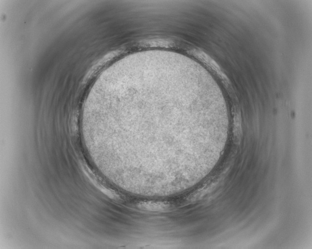 X0000085250537200704092051