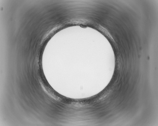 X0000085250538200704092051