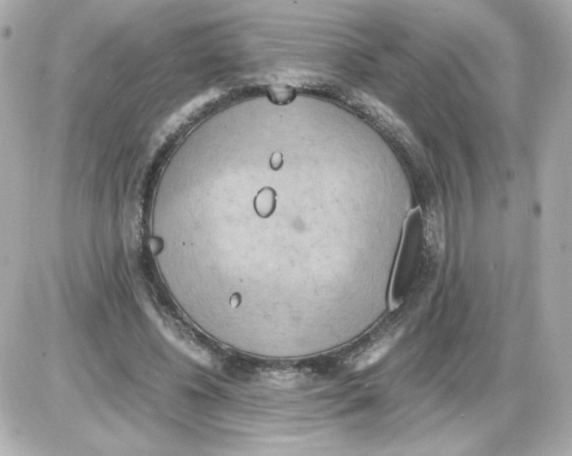 X0000085250540200704092051