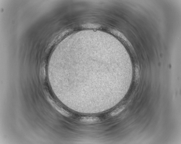 X0000085250541200704092051