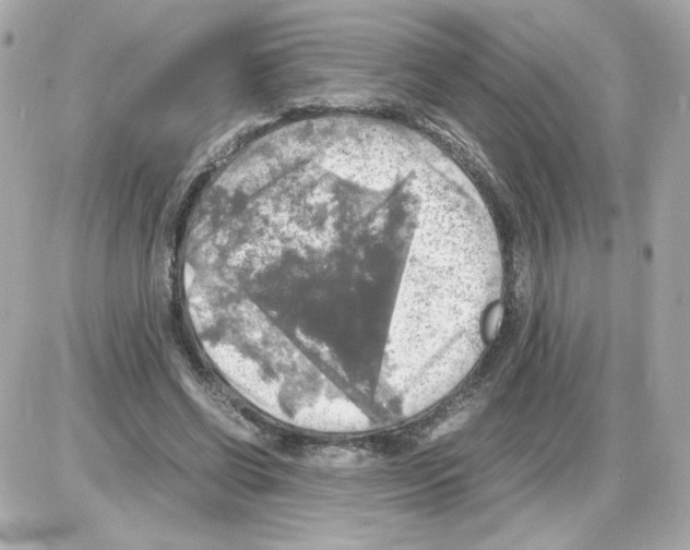 X0000085250542200704092051