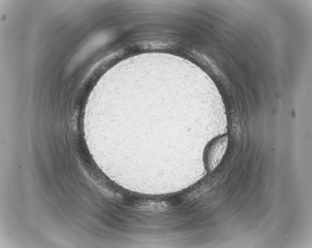 X0000085250543200704092051