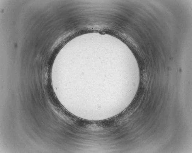 X0000085250544200704092051