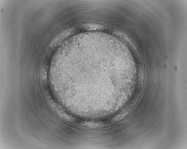 X0000085250545200704092051