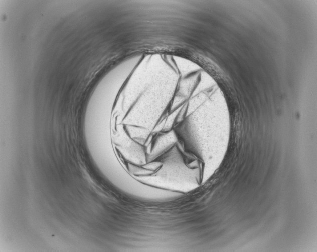 X0000085250546200704092051