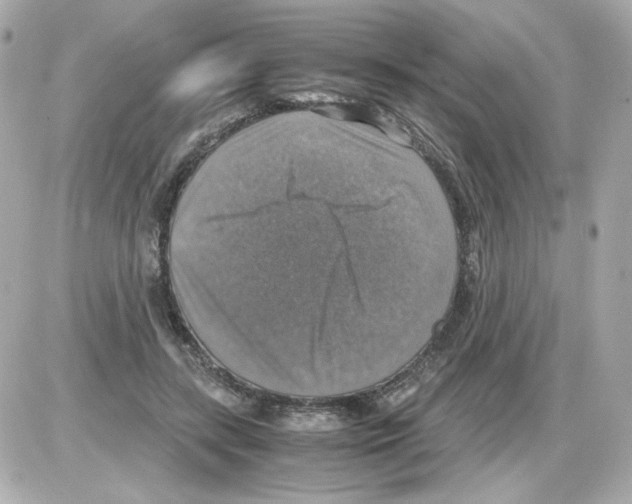 X0000085250547200704092051