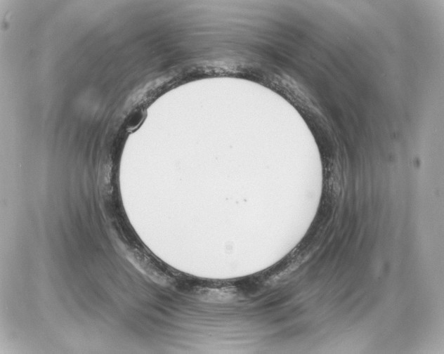 X0000085250548200704092051