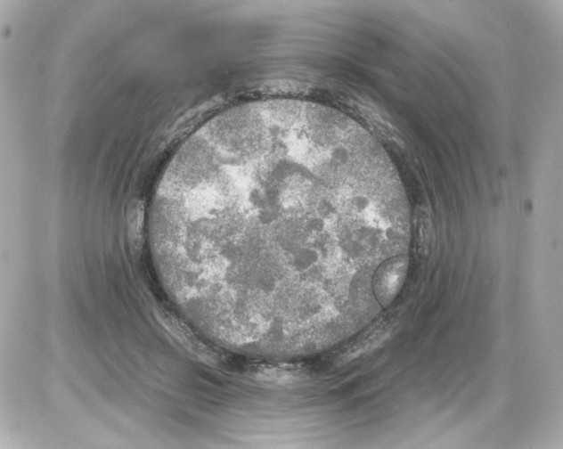 X0000085250550200704092051