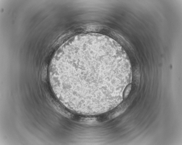 X0000085250554200704092051