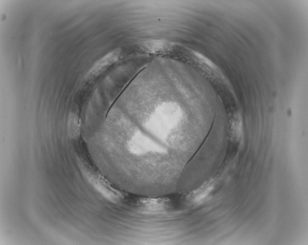 X0000085250558200704092052