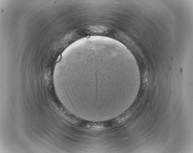 X0000085250559200704092052