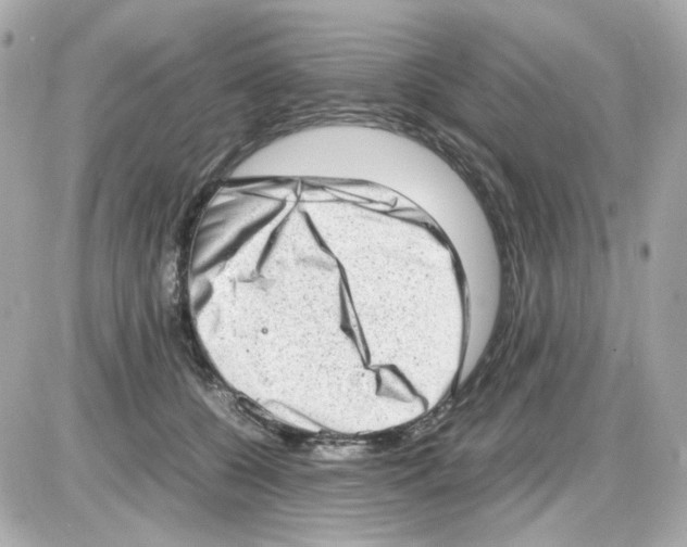 X0000085250560200704092052