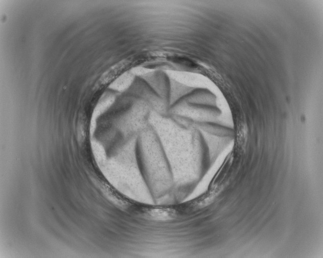 X0000085250566200704092052