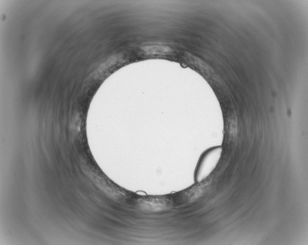 X0000085250567200704092052