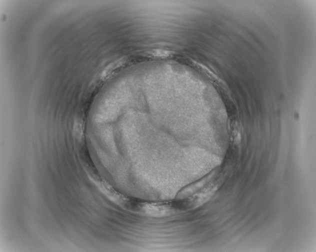 X0000085250568200704092052