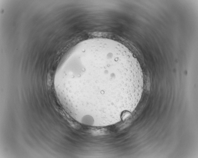 X0000085250569200704092052