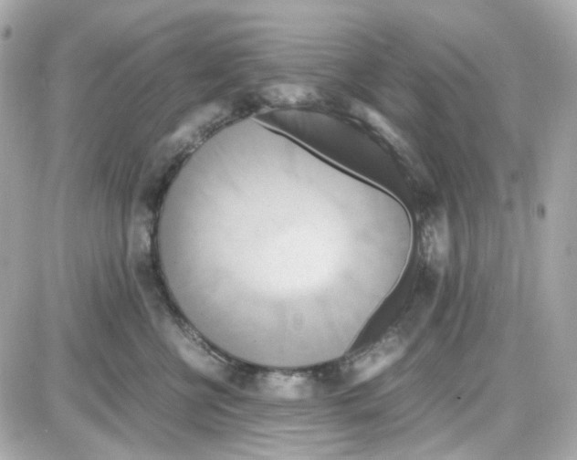 X0000085250570200704092052