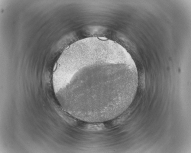 X0000085250571200704092052