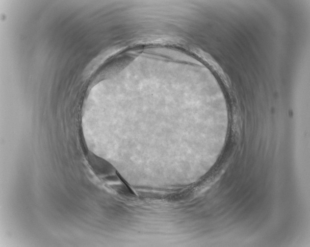 X0000085250577200704092051