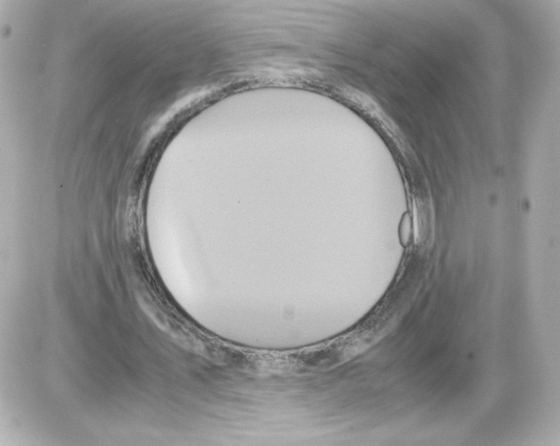 X0000085250579200704092051