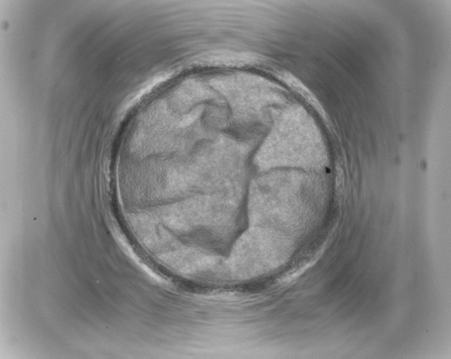 X0000085250581200704092051