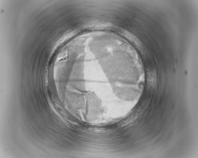 X0000085250582200704092051