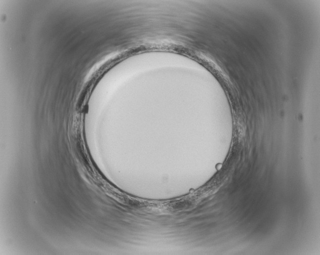 X0000085250583200704092051