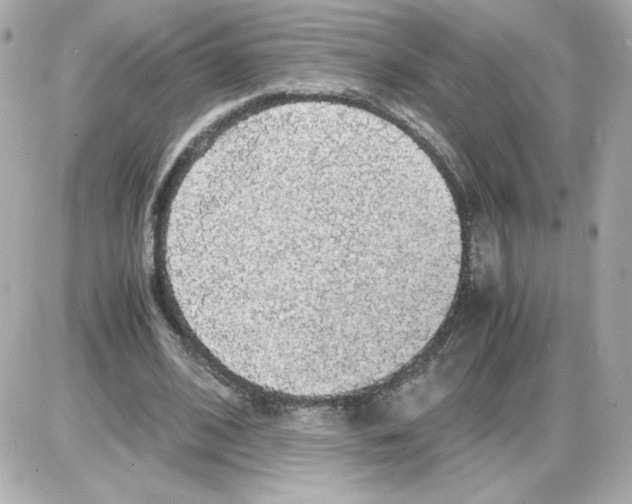 X0000085250584200704092051