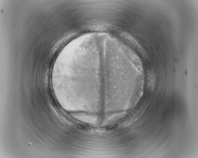 X0000085250586200704092051