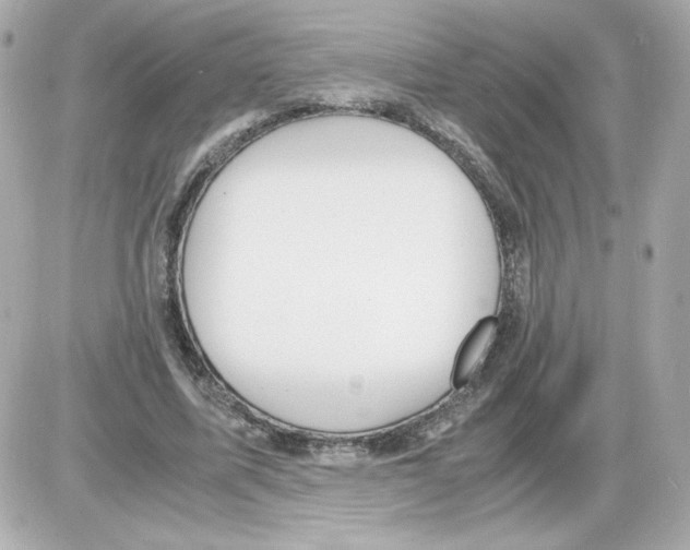 X0000085250587200704092051