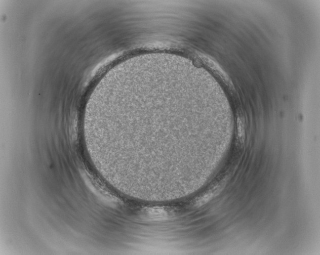 X0000085250588200704092051