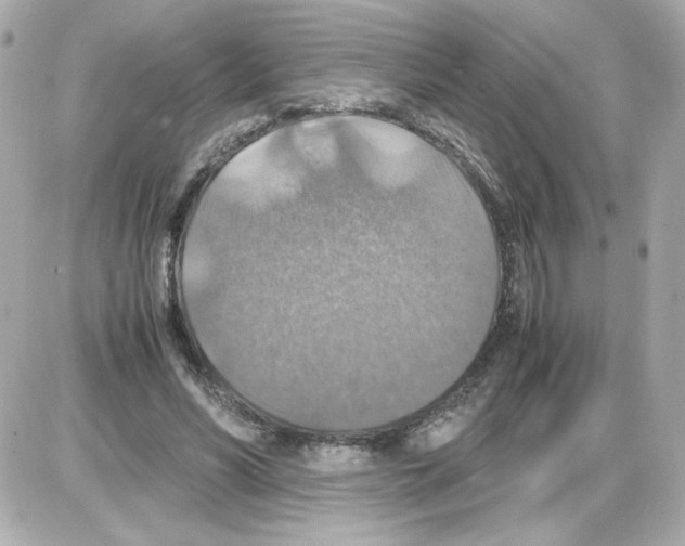 X0000085250590200704092051