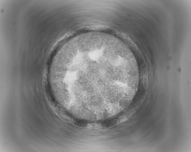 X0000085250591200704092051