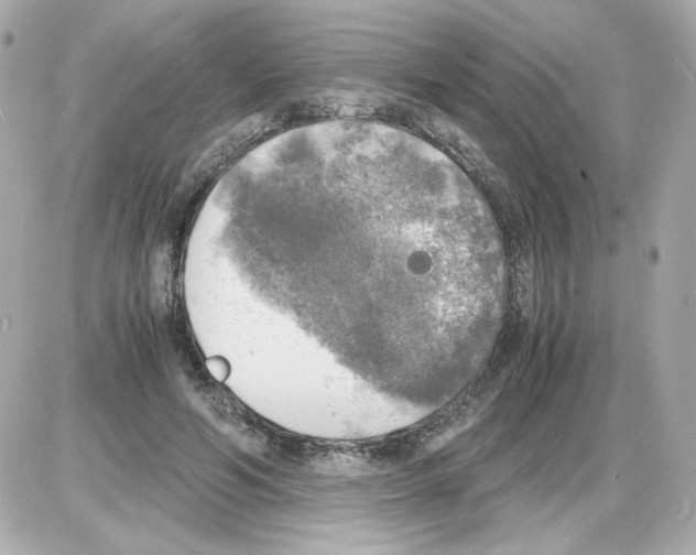 X0000085250594200704092051