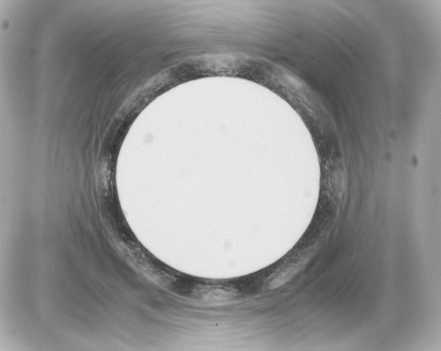 X0000085250597200704092051