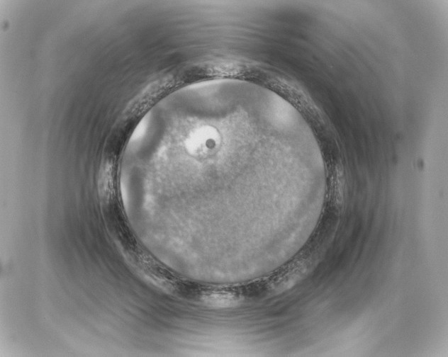 X0000085250598200704092051