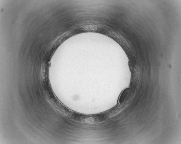 X0000085250600200704092051