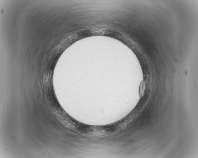 X0000085250601200704092051