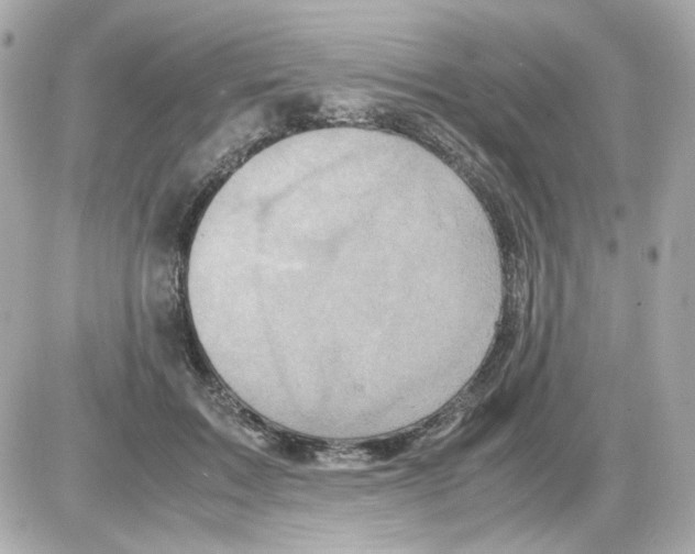 X0000085250603200704092051