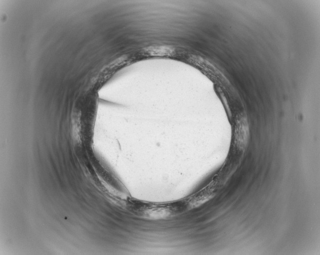 X0000085250604200704092051