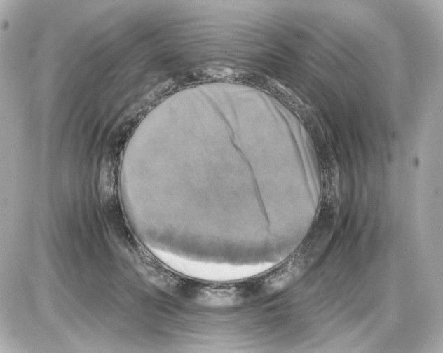 X0000085250606200704092051