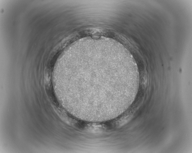 X0000085250607200704092051