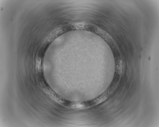 X0000085250610200704092050