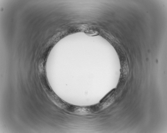 X0000085250611200704092050