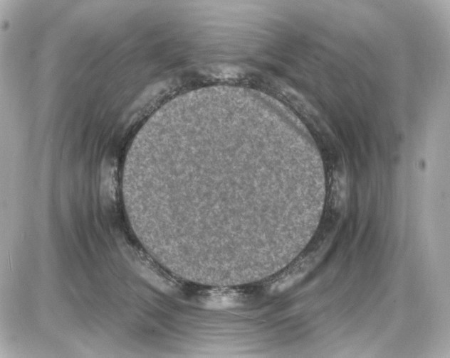 X0000085250612200704092050