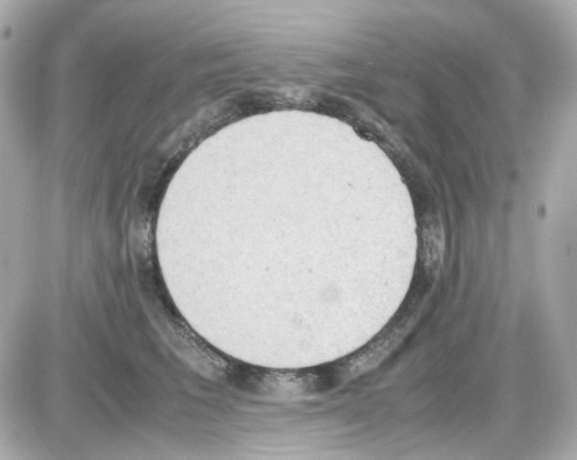 X0000085250613200704092050