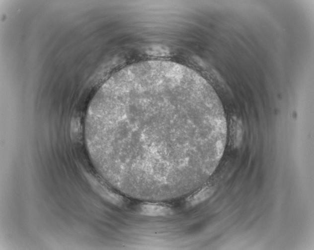 X0000085250614200704092050