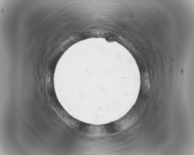 X0000085250615200704092050