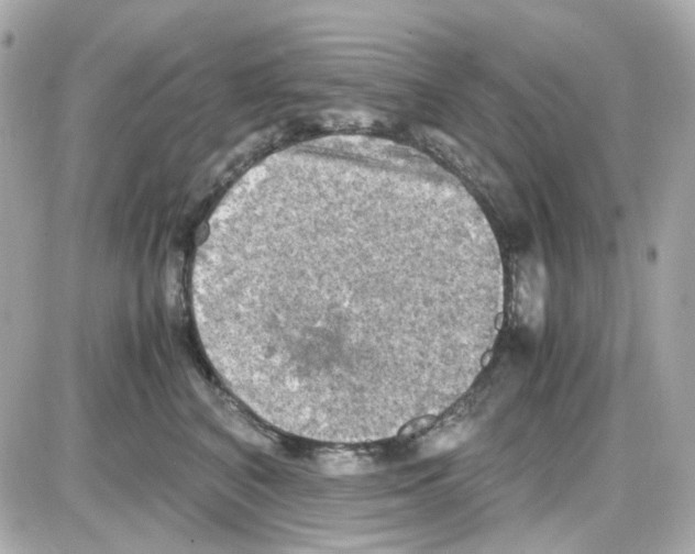 X0000085250616200704092050