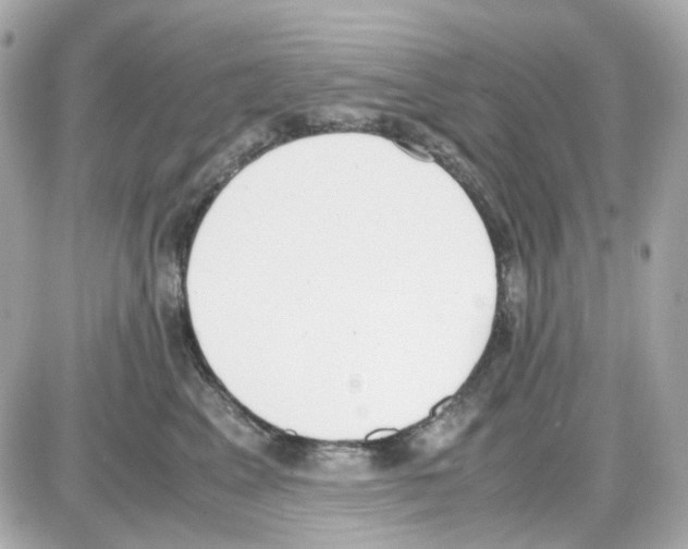 X0000085250617200704092050